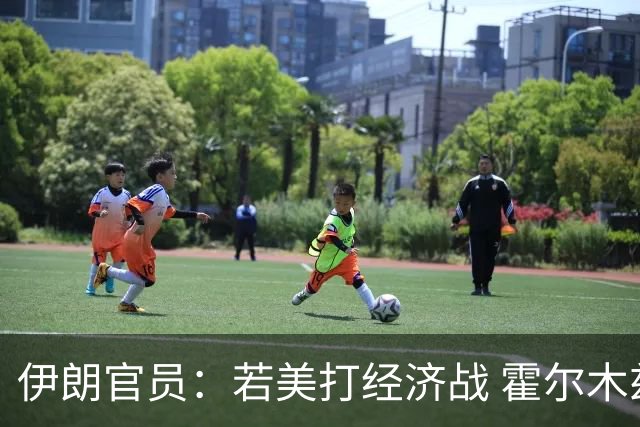 伊朗官员：若美打经济战 霍尔木兹海峡和波斯湾将再无石油出口